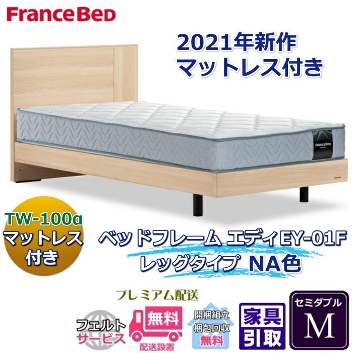 フランスベッド お得なベッドセット エディ セミダブル【送料・開梱組立設置無料】TW-100α付き人気マットレスとフレームEY-01Fのセット販売商品