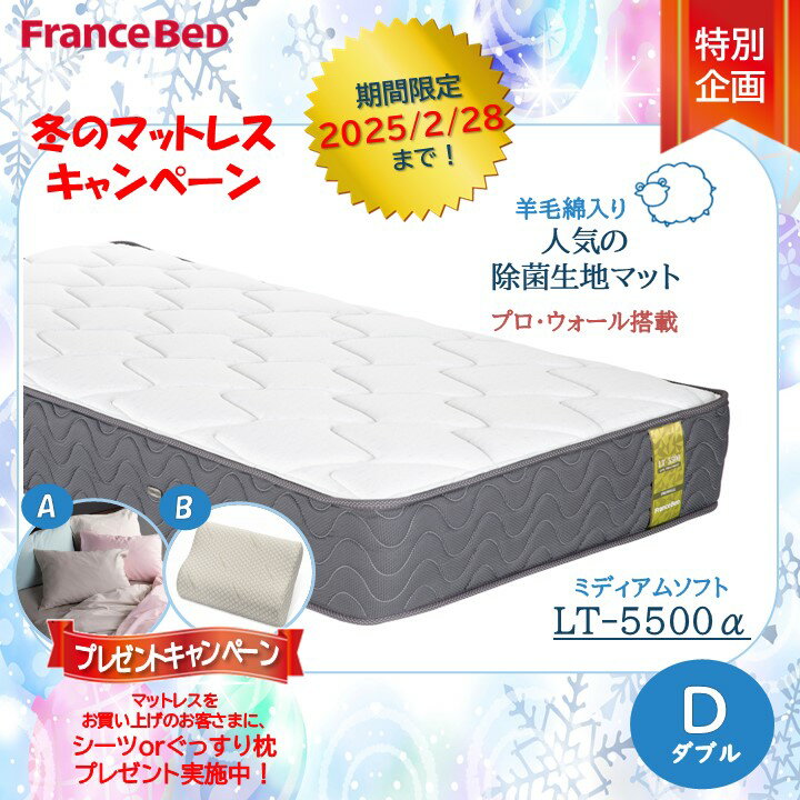付き搬入開梱設置無料フランスベッド LT-5500マットレス