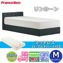 フランスベッド IQベッド リンカーン セミダブル【送料・開梱組立設置無料】EF-マルチハード マットレス付きモダンベッドフレーム 2台並べてのご使用にもおすすめiqベッド 脚付きベッド 布張りベッドフレーム