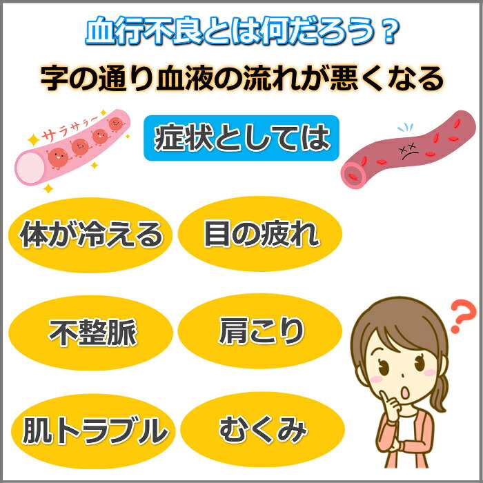 プラウシオン マットレスカバー ダブルサイズ【送料無料】血流促進 活性酸素除去 ...