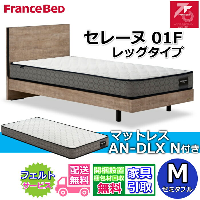 フランスベッド ベッドセット セレーヌ 01F レッグタイプマットレス AN-DLX N付き【搬入・開梱組立設置..