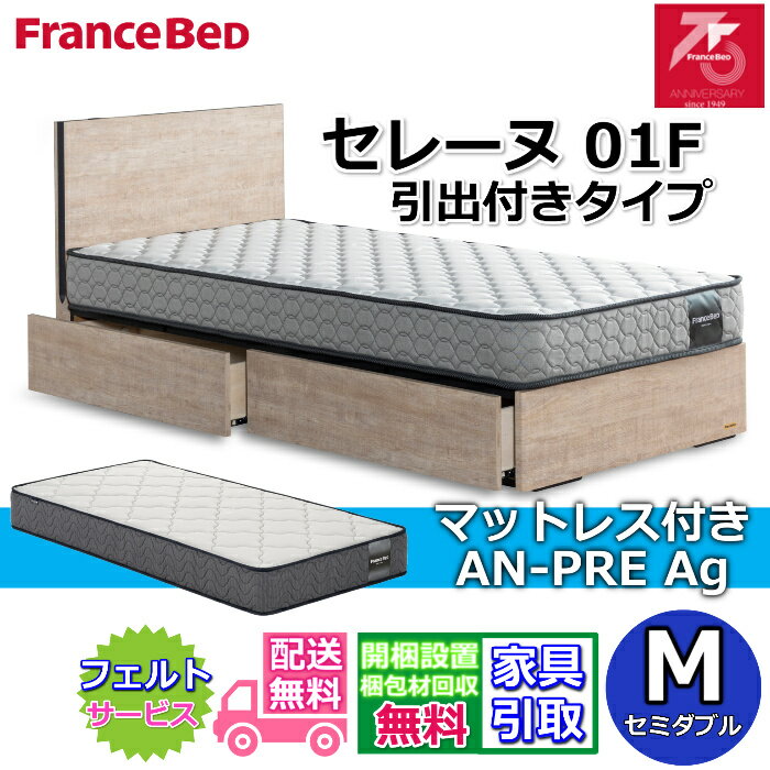 フランスベッド ベッドセット セレーヌ 01F DRタイプマットレス AN-PRE Ag付き セミダブル【搬入・開梱組立設置無料】75周年記念モデル すのこ床板 通気性抜群コンセント付き 引出付き ベッドフレーム 除菌
