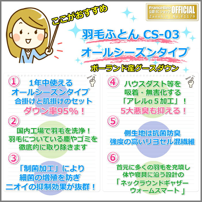 フランスベッド 羽毛ふとん CS-03 オールシーズンタイプ クイーンサイズ【送料無料】合掛けふとんと肌掛けふとんのセット 1年中使える カスタムセレクトシリーズポーランド産グースダウン95% 日本製 JOORYU [2]