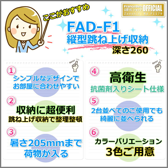 フランスベッド ファディア FAD-F1 ワイドダブル【開梱組み立て設置無料】260 TSタイプ 跳ね上げベッドFADEAR「公式パートナー展示店舗」のみ取扱い商品 [3]