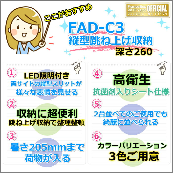 フランスベッド ファディア FAD-C3 セミダブル【開梱組み立て設置無料】260 TSタイプ 跳ね上げベッドFADEAR「公式パートナー展示店舗」のみ取扱い商品 [3]