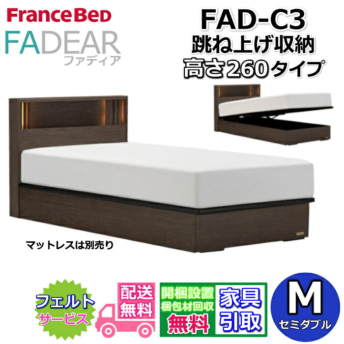樂天商城 - フランスベッド ファディア FAD-C3 セミダブル【開梱組み立て設置無料】260 TSタイプ 跳ね上げベッドFADEAR「公式パートナー展示店舗」のみ取扱い商品