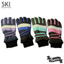 スワニー（SWANY GLOVES）（メンズ）グローブ アラスカ 3フィンガー SX-205-BK