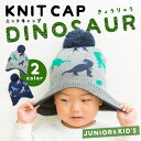 期間限定!ポイント5倍 恐竜 ニットキャップ ニット帽子 キッズ 子供 ジュニア 耳あて付き 裏ボア ボンボン ティラノサウルス スキー スノーボード スノボ ...