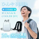 リュックサッククーラー 冷感 特殊冷却素材 薄型 メンズ レディース ユニセックス キッズ ジュニア 小学生 登校 下校 通勤 通学 暑さ対策 熱中症対策 帽子 保冷剤 頭 冷却 フェス アウトドア 野外 バックパック バッグ
