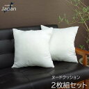 【北海道・沖縄・離島配送不可】【代引不可】ヌードクッション アイボリー 約45×45cm 2枚組 洗える 日本製 中身 カバーなし クッション中身のみ IKEHIKO 9507820