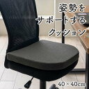 【北海道・沖縄・離島配送不可】【代引不可】オフィス デスク ワーク サポート クッション 腰 お尻 姿勢 体圧分散 ブラック 約40×40cm IKEHIKO 1212080038801