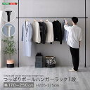【北海道・沖縄・離島配送不可】【代引不可】つっぱりハンガーラック 1段 幅250cm つっぱり収納 ハンガーラック 省スペース ホームテイスト SH-29-TTHL-1
