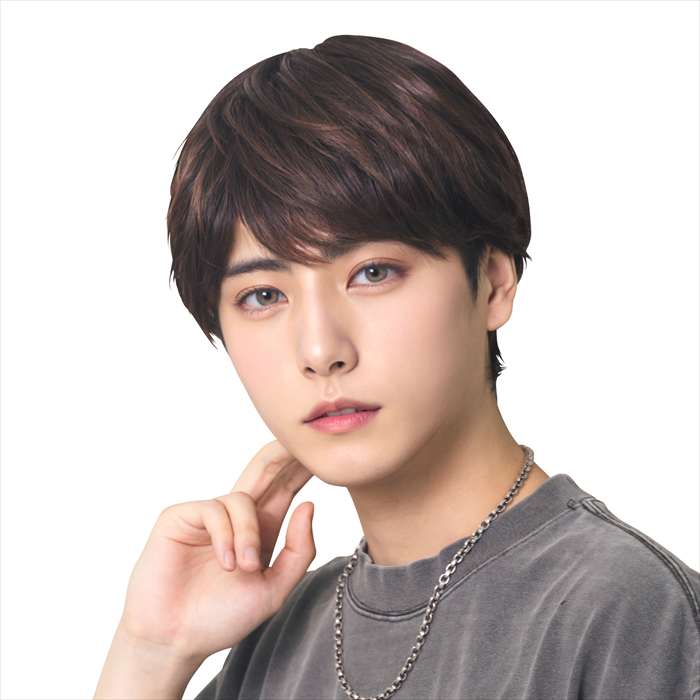 WIGGY RICH メンズ ナチュラルマッシュ ダークブラウン ウィッグ かつら パーティー イベント コスプレ 仮装 変装 小道具 クリアストーン 4560320879961