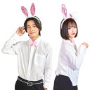 【即日出荷】うさぎカチューシャセット うさぎ 兎 干支 キャラクター コスプレ パーティーグッズ 年賀状 おすすめ クリアストーン 4560320901181
