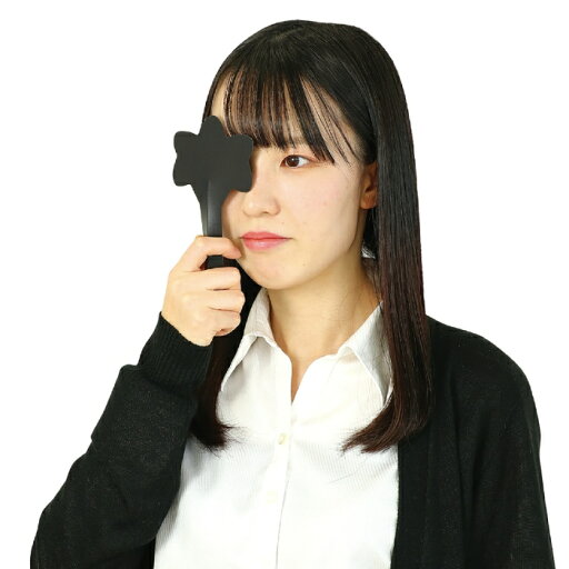遮眼子ディスポタイプ(50枚組) 視力検査 アーテック 52246 遮眼子ディスポタイプ(50枚組) 視力検査 アーテック 52246