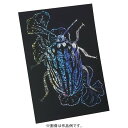 ホログラムスクラッチボード 100×150mm 図工 工作 クラフト おもちゃ アーテック 12643