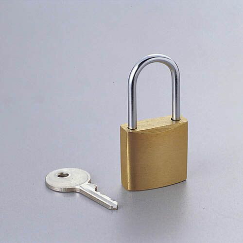 【代引不可】【エレコム】【ELECOM】南京錠 製品型番：ESL-NK