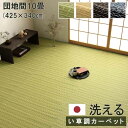 【沖縄・離島配送不可】【代引不可】ござ カーペット ラグ 団地間10畳 約425×340cm ダイニングラグ 日本製 い草調 ポリプロピレン 丈夫 洗える ダニが発生しにくい 除菌スプレー対応 インテリア アウトドア ペット IKEHIKO BRC425340