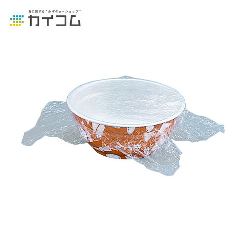 Rakuten - 10%クーポン配布中 【丼容器・弁当箱】でかどん(おでん)本体 サイズ : φ182×75mm 入数 : 450