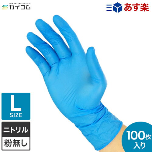 [ポイント10倍]楽天ランキング入賞 ニトリル手袋 Lサイズ
