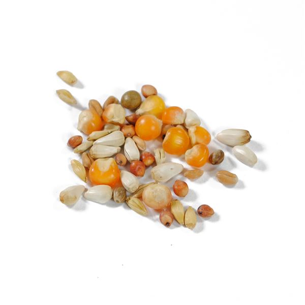 静岡朝日テレビ　ショッピングの（まとめ）ペットプロ ハトのごはん 1kg【×12セット】【代引不可】｜アングル2