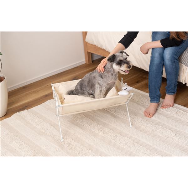 フォールディング ペットベッド 約幅50×奥行41×高さ26cm ホワイト 折りたたみ 洗えるベース＆クッション ペット用品