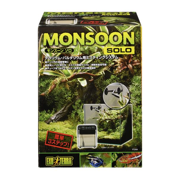 モンスーンソロ