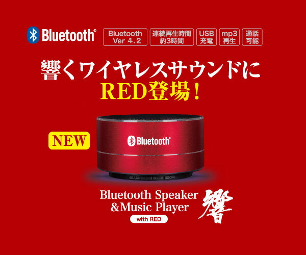 Bluetooth ֥롼ȥԡߥ塼åץ졼䡼