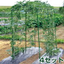 【4個セット】第一ビニール 菜園つる棚セット TDS-1.8 80cm×180cm 【家庭菜園 キュウリ ゴーヤ エンドウ 小玉スイカ 小型カボチャ 空中栽培 棚 園芸 支柱 用品 キット 菜園 野菜作り】【おしゃれ おすすめ】[CB99]