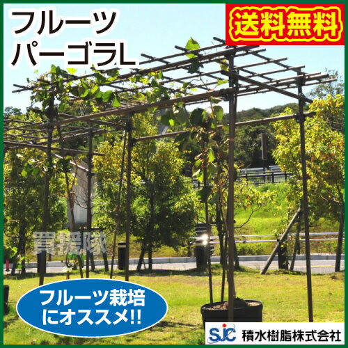 【楽天市場】セキスイ フルーツパーゴラL【ぶどう棚 藤棚 ふじ棚 葡萄棚 園芸棚 菜園 棚 支柱 園芸 用品 つる ヘチマ キウイ 栽培 格子