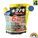 レインボー薬品 ネコソギシャワー V6 エコパウチ 4L 【そのまま使える シャワータイプ 6か月間効果が持続 除草剤 グリホサート 農薬 ガーデニング 雑草 ...