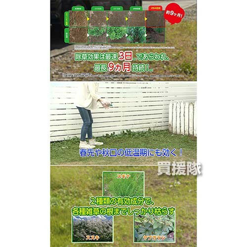 住友化学園芸 クサノンEX粒剤 5kg×4箱 合計20kg 【除草剤 根まで枯らす 雑草 草 予防 雑草 対策 雑草対策 園芸 薬剤 薬 庭 駐車場 墓地 道路 公園 庭園 ススキ ササ スギナにも 粒剤 ヨモギ カタバミ セイタカアワダチソウ ヤブガラシ】【おしゃれ おすすめ】[CB99] 3