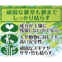 送料無料 農耕地用 除草剤 サンフーロン 2L 【農林水産省登録 農薬登録 雑草対策 園芸 薬剤 安心 ミカン 果樹 経済的 噴霧器 散布 大成農材 ラウンドアップのジェネリック農薬 希釈 原液 水でうすめてまくだけ 希釈タイプ 原液タイプ 水で薄める】【おしゃれ おすすめ】