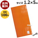 日本ノーデン 農電園芸マット 1.2×5m 100V 単相 1-417【温床器械 温床機器 保温マット サーモ マット 菜園マット 冬 植物 日本農電 ノーデン】【おしゃれ おすすめ】 [CB99]