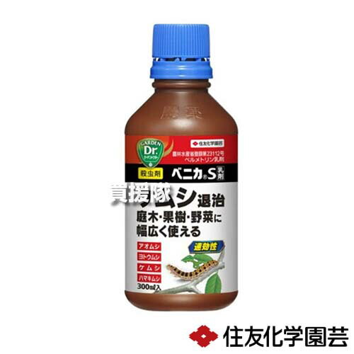 ͧر ٥˥S 300ml30 ڿǤ    ɽ к  ڱ  夦 ٥ ...