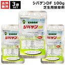 《法人限定》石原バイオ シバゲンDF 100g 芝生用除草剤×3袋 【芝生 芝 シバ 日本芝 西洋芝 バーミュダグラス 芝生用除草剤 除草 雑草 対策 イネ科 カヤツクリグサ 広葉 一年草 多年生雑草 樹木 庭 公園 緑地 駐車場 宅地 スズメのヒエ ハマスゲ ヒメクグ】