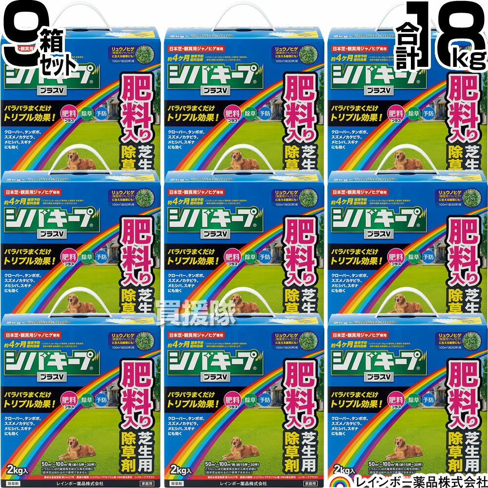 納期について：【取寄】通常3〜5日の発送予定(土日祝除く) 【日本芝 高麗芝 芝生に生える雑草だけを枯らす 芝生用除草剤 除草 雑草予防 肥料入り そのまま使える 一年生イネ科雑草 多年生 広葉雑草 除草剤 クローバー スギナ ヤハズソウ メヒシバ リュウノヒゲ 観賞用ジャノヒゲ カタバミ チドメグサ コニシキソウ スズメノカタビラ 芝キープ 顆粒 農薬 粉状】 「除草」+「雑草予防」さらに「肥料入り」のトリプル効果で、芝生に生える雑草を枯らし芝生の生育も促します。 【特 長】 除草成分に加え肥料が配合されているので、日本芝(こうらいしば)や観賞用ジャノヒゲの生育を優しく促しながら、雑草の根までしっかり枯らします。 日本芝の中に発生したメヒシバやスズメノカタビラ等の一年生イネ科雑草や、ヤハズソウ等一年生広葉雑草、クローバーやスギナなどの多年生広葉雑草に効果を発揮します。 観賞用ジャノヒゲでは一年生イネ科雑草や一年生広葉雑草に効果を発揮します。 散布してから3週間前後で雑草を枯らし、長期間雑草の発生を抑え、肥料効果も緩やかに約4ヶ月持続します。 植物だけが持つ生理代謝機能を阻害して雑草を枯らします。 【上手な使い方】 ●雑草の生える前から生え始めに散布してください。 （雑草が大きくなりすぎると効果が出にくくなります）。 【日本芝（こうらいしば）に使う場合】 ●雑草の発生前から発生初期に、1m2当り20~40gを均一に土壌に落ちるように散布します。 ●芝生の中に生えたスギナへは1m2当り30~40gを散布します。 【リュウノヒゲ（観賞用ジャノヒゲ）に使う場合】 ●雑草の生育初期に1m2当り20gを均一に土壌に落ちるように散布します。 ●薬剤散布後、ジャノヒゲの葉をなでて葉の上に乗った粒を必ず地面に落としてください。 そのままにしておくと葉が枯れる可能性があります（薬害） 仕様 メーカー　　レインボー薬品 品名　　シバキーププラスV 2kg×9箱 JANコード　　4903471101886 用途　　芝生用除草剤 性状　　類白色粒状 有効成分　　メコプロップPカリウム塩、DBN 有効期限　　5年 農薬登録番号　　第24427号 肥料登録番号　　生第106221号 材質　　メコプロップPカリウム塩。DBN。肥料等。 原産国　　日本国 入数　　2kg×9箱 (合計 18kg) ※雑草の生える前から生え始めに散布してください(雑草が大きくなりすぎると効果が出にくくなります)。 ※日本芝(こうらいしば)に使う場合、雑草の発生前から発生初期に、1m2当り20〜40gを均一に土壌に落ちるように散布してください。 ※芝生の中に生えたスギナへは1m2当り30〜40gを散布してください。 ※リュウノヒゲ(観賞用ジャノヒゲ)に使う場合、雑草の生育初期に1m2当り20gを均一に土壌に落ちるように散布してください。 ※ジャノヒゲの葉をなでて、葉の上に乗った粒を必ず地面に落としてください。そのままにしておくと葉が枯れる可能性があります(薬害)。