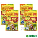ハイポネックス マグァンプK 中粒 1.1kg×4袋セット 【植物栽培 用 肥料土に1回混ぜ込むだけ 長く効く 約1年間の効きめ 粒剤 植えつけ 植えかえ 土に...