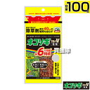 レインボー薬品 ネコソギブロックV 粒剤 100g 【根までも枯らす 粒のまま地面にパラパラまくタイプ そのまま散布 約4〜6ヶ月間持続 スギナ 頑固な雑草も枯...