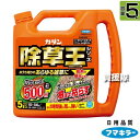 フマキラー カダン 除草王 ザッソージエース 5L 【散布しやすいシャワータイプ 雑草 対策 根根まで枯らす 草 葉 茎 雑草対策 ガーデニング 園芸 薬剤 薬...