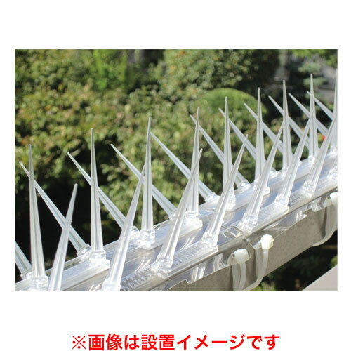 第一ビニール とうめい 鳥よけシート 3枚入【透明 シート 家庭菜園 菜園 ガーデニング DIY 農業 林業 機械 資材 園芸 産業機械 プロ仕様 DAIM 農機具 農機 用品】【おしゃれ おすすめ】[CB99]のサムネイル