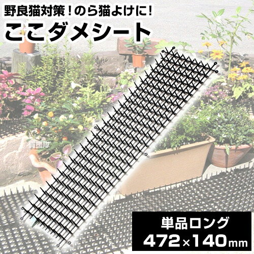 フェイクのアレンジ 猫除けトゲトゲはseria フラワー グリーンはdaiso フェイクフラワー 猫除けのトゲトゲ などのインテリア実例 21 07 23 12 58 08 Roomclip ルームクリップ フェイクのアレンジ 猫除けトゲトゲはseria フラワー グリーンはdaiso フェイクフラワー 猫除けのトゲトゲ などのインテリア実例 21 07 23 12 58 08 Roomclip ルームクリップ