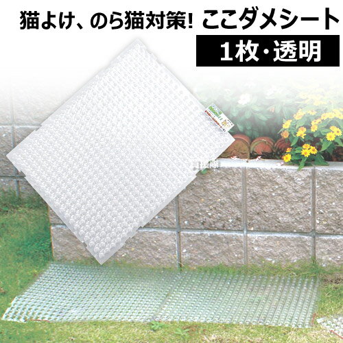 猫よけ ここダメシート（透明タイプ）単品 第一ビニール【猫対策 ネコのイタズラ 犬 鳥 トゲトゲ 動物 家庭菜園 ガーデニング用品 DIY ここダメシート 透明タイプ とうめい 目立たない】【おしゃれ おすすめ】[CB99]のサムネイル