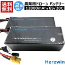 Herewin 農業用 ドローン用 バッテリー 12000mAh/6S/20C (2個セット) 【農業用ドローン 農薬散布ドローン 大型ドローン ヒラキ ドロー...