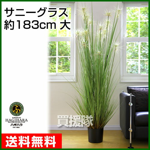 サニーグラス（人工植物） 約183cm （大）【観葉植物 インテリア 人工植物 光触媒 グリーン 室内 種類 販売 通販 ガーデニング Artificial green】【おしゃれ おすすめ】 [CB99]