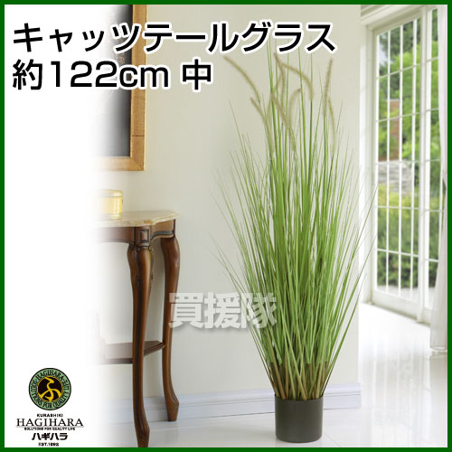 キャッツテールグラス（人工植物） 約122cm （中）【観葉植物 インテリア 人工植物 光触媒 グリーン 室内 種類 販売 通販 ガーデニング Artificial green】【おしゃれ おすすめ】 [CB99]