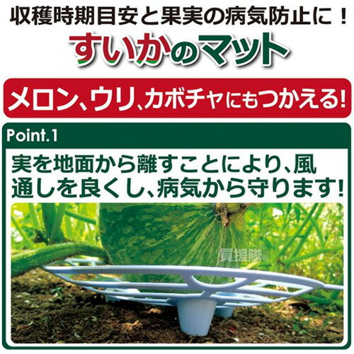 ★ポイント5倍★第一ビニール スイカのマット 3枚入ライトブルー 【 果実 病気防止 ...
