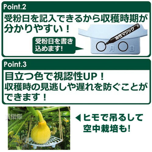 ★ポイント5倍★第一ビニール スイカのマット 3枚入ライトブルー 【 果実 病気防止 ...