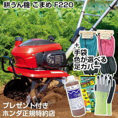 https://thumbnail.image.rakuten.co.jp/@0_mall/kaientai/cabinet/honda-tl/f220j_0.jpg