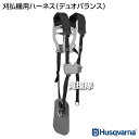 kaientai:10004468のサンプル画像2